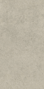 Керамогранит Italon Форум Стоун Дезерт арт. 610010004170 (60x120) под камень, серый, матовый